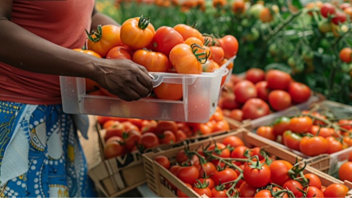 Puglia: finanziati i progetti per contrastare lo sfruttamento lavorativo