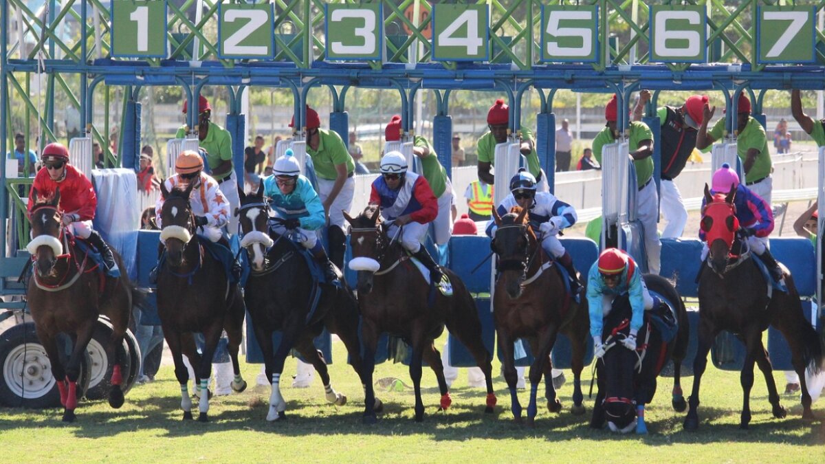 Addetti corse ippiche: cambiano i codici “Tipo rapporto” per l’Uniemens