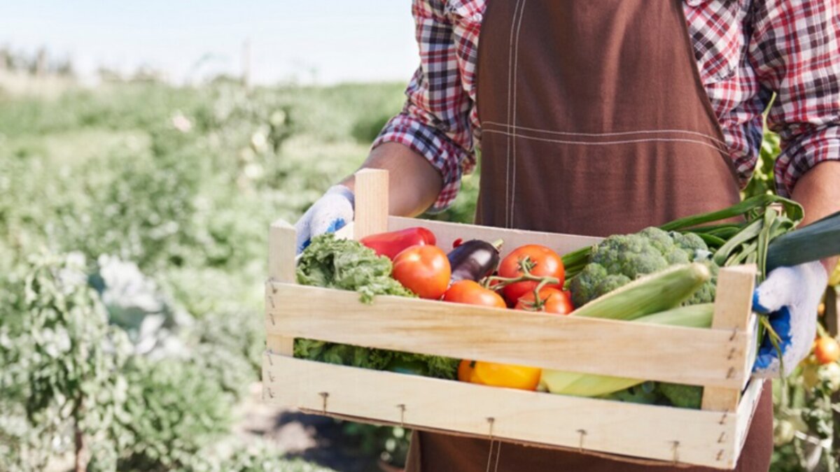 Il lavoro stagionale con i romeni