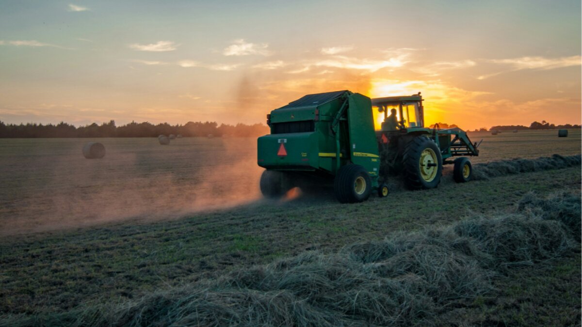 Contributi agricoli: avvisi bonari 2026